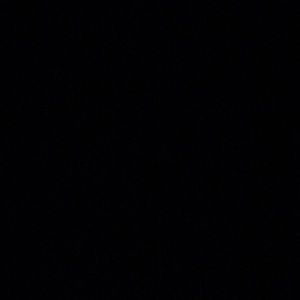 Meet your Posher, Momma